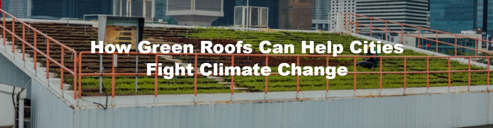 How Green Roofs Can Help Cities Fight Climate Change