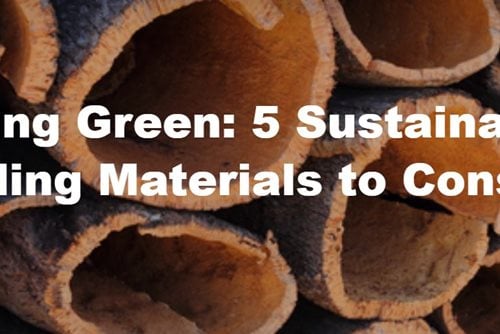 Going Green: 5 Sustainable Building Materials to Consider
